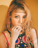 아이돌 성씨 분포표 (본인이 가장 좋아하는 성씨의 아이돌은 누구?) | 인스티즈