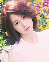 아이돌 성씨 분포표 (본인이 가장 좋아하는 성씨의 아이돌은 누구?) | 인스티즈