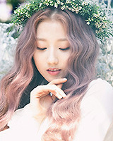 아이돌 성씨 분포표 (본인이 가장 좋아하는 성씨의 아이돌은 누구?) | 인스티즈