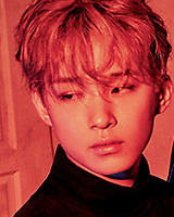 아이돌 성씨 분포표 (본인이 가장 좋아하는 성씨의 아이돌은 누구?) | 인스티즈