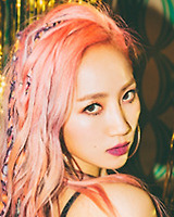 아이돌 성씨 분포표 (본인이 가장 좋아하는 성씨의 아이돌은 누구?) | 인스티즈