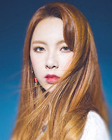 아이돌 성씨 분포표 (본인이 가장 좋아하는 성씨의 아이돌은 누구?) | 인스티즈