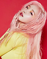 아이돌 성씨 분포표 (본인이 가장 좋아하는 성씨의 아이돌은 누구?) | 인스티즈