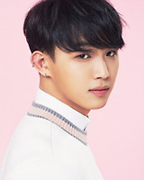 아이돌 성씨 분포표 (본인이 가장 좋아하는 성씨의 아이돌은 누구?) | 인스티즈