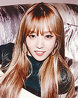 아이돌 성씨 분포표 (본인이 가장 좋아하는 성씨의 아이돌은 누구?) | 인스티즈