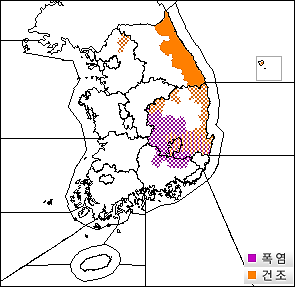 특보이미지