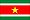 수리남 국기